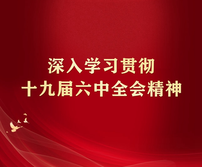 全市民革组织深入学习领会中共十九届六中全会精神