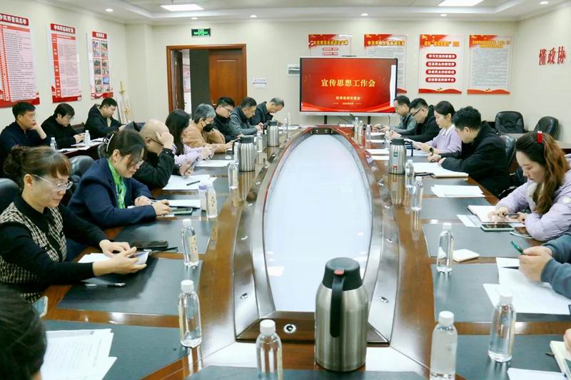民革洛阳市委会召开宣传思想工作会议